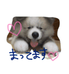 やまだ いつき（個別スタンプ：8）