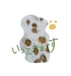 やまだ いつき（個別スタンプ：9）
