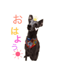 イタグレりっち（個別スタンプ：4）