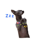 イタグレりっち（個別スタンプ：6）
