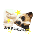 ちゃちゃ 2（個別スタンプ：6）
