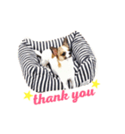 ちゃちゃ 2（個別スタンプ：23）