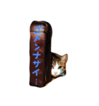 chata（個別スタンプ：5）