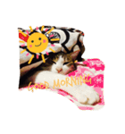 chata（個別スタンプ：10）