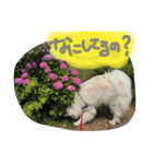 やまだ いつき…弐（個別スタンプ：4）