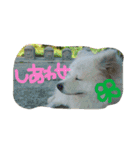 やまだ いつき…弐（個別スタンプ：9）