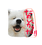 やまだ いつき…弐（個別スタンプ：14）