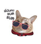 Hello！ Heng Heng 2（個別スタンプ：11）