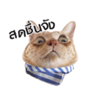 Hello！ Heng Heng 2（個別スタンプ：12）