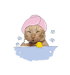 Hello！ Heng Heng 2（個別スタンプ：14）