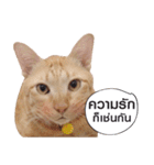 Hello！ Heng Heng 2（個別スタンプ：19）