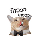 Hello！ Heng Heng 2（個別スタンプ：20）