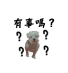 dododo dog（個別スタンプ：2）