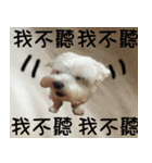 dododo dog（個別スタンプ：4）