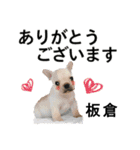 板倉さん用の名前スタンプ・子犬イラスト（個別スタンプ：2）