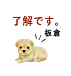 板倉さん用の名前スタンプ・子犬イラスト（個別スタンプ：4）