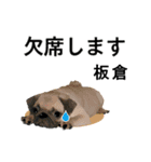 板倉さん用の名前スタンプ・子犬イラスト（個別スタンプ：8）