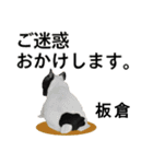板倉さん用の名前スタンプ・子犬イラスト（個別スタンプ：10）