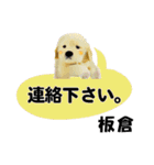 板倉さん用の名前スタンプ・子犬イラスト（個別スタンプ：12）