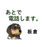 板倉さん用の名前スタンプ・子犬イラスト（個別スタンプ：13）