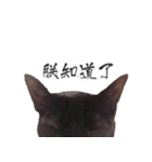 Black cat YAN（個別スタンプ：8）