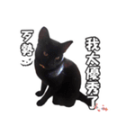 Black cat YAN（個別スタンプ：10）