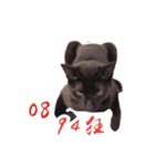 Black cat YAN（個別スタンプ：15）