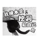 Black cat YAN（個別スタンプ：20）