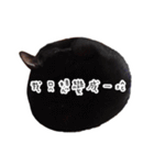Black cat YAN（個別スタンプ：22）