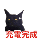 Black cat YAN（個別スタンプ：30）