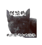 Black cat YAN（個別スタンプ：32）