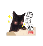 Black cat YAN（個別スタンプ：34）
