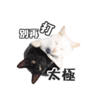 Black cat YAN（個別スタンプ：35）