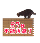 Black cat YAN（個別スタンプ：37）
