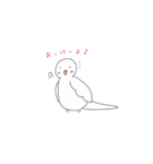 アルビノインコのにちじょう（個別スタンプ：7）