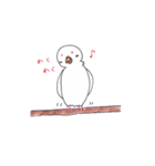 アルビノインコのにちじょう（個別スタンプ：13）