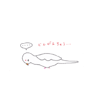 アルビノインコのにちじょう（個別スタンプ：14）