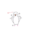 アルビノインコのにちじょう（個別スタンプ：24）