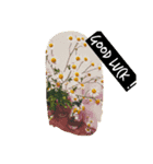 pictures of flower（個別スタンプ：8）