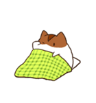 まめとあん（個別スタンプ：1）