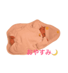 normal baby（個別スタンプ：16）