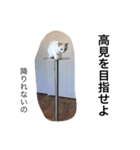 悟り猫（個別スタンプ：27）