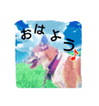 ごんた！！！（個別スタンプ：11）