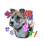 ごんた！！！（個別スタンプ：32）