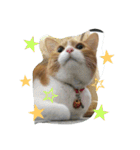 真理ちゃん（個別スタンプ：3）