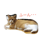 真理ちゃん（個別スタンプ：9）