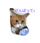 真理ちゃん（個別スタンプ：10）