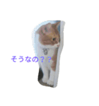 真理ちゃん（個別スタンプ：12）