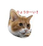 真理ちゃん（個別スタンプ：13）