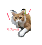 真理ちゃん（個別スタンプ：14）